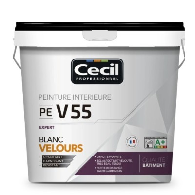 PEINTURE PROFESSIONNELLE M55 BLANC MAT 5L