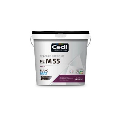 PEINTURE PROFESSIONNELLE V55 BLANC VELOUR 10L