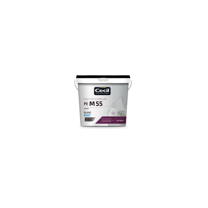 PEINTURE PROFESSIONNELLE V55 BLANC VELOUR 10L