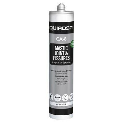 Mastic acrylique joint et fissures blanc 300 ml CA-8