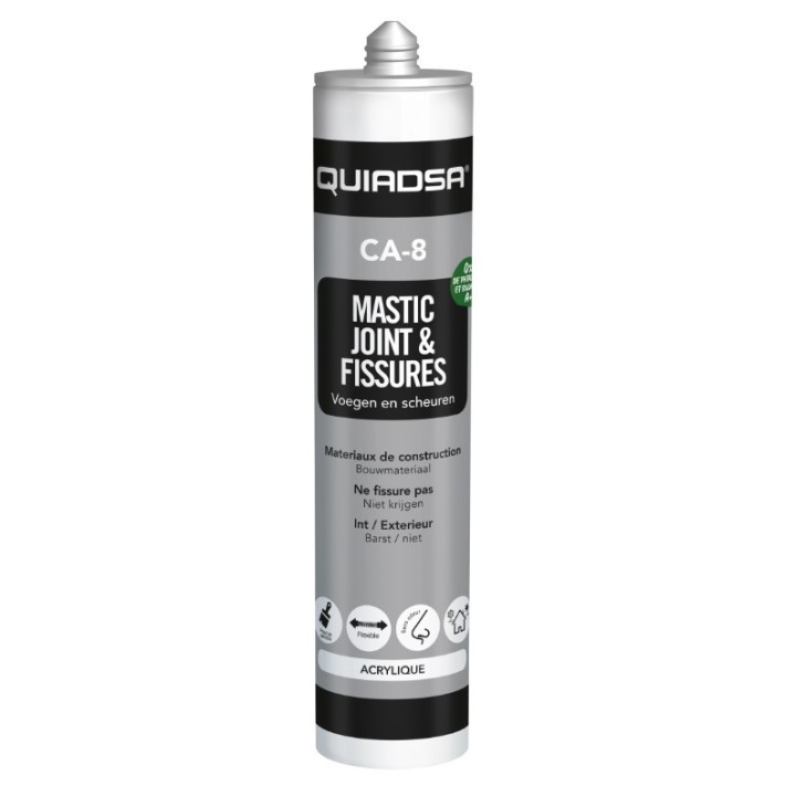 Mastic acrylique joint et fissures blanc 300 ml CA-8