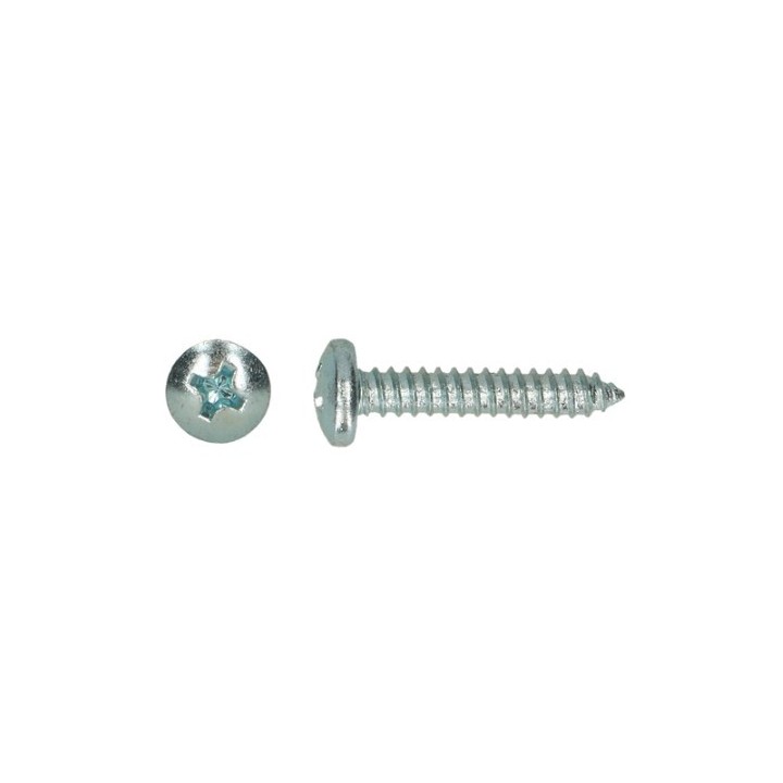 VIS TOLE DIN 7981C-H Zn