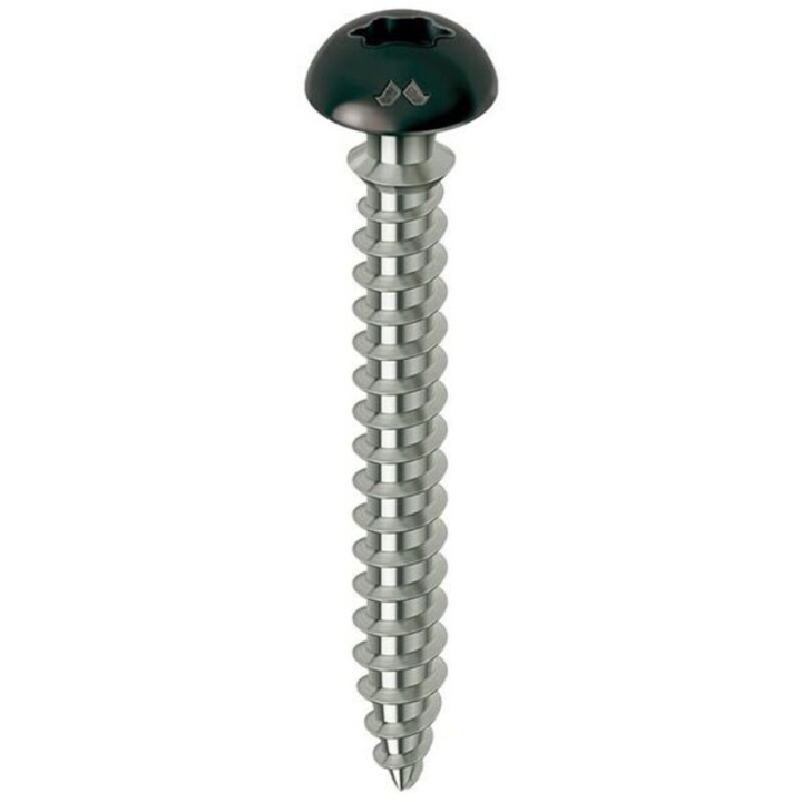 VIS RENO 6/70 TETE NOIRE